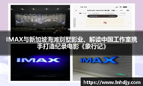 NG娱乐登录入口